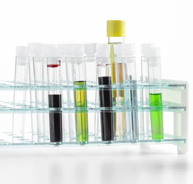 wg-research-graphic-03.webp?v=20263103110417